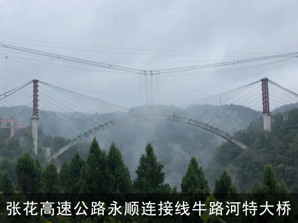 张花高速公路永顺连接线牛路河特大桥